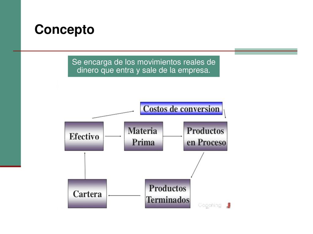 Concepto Se encarga de los movimientos reales de dinero que entra y sale de la empresa.