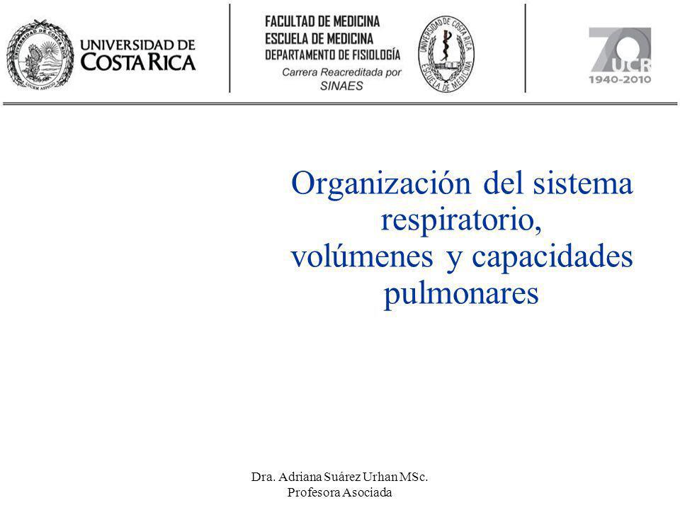 Dra. Adriana Suárez Urhan MSc. Profesora Asociada