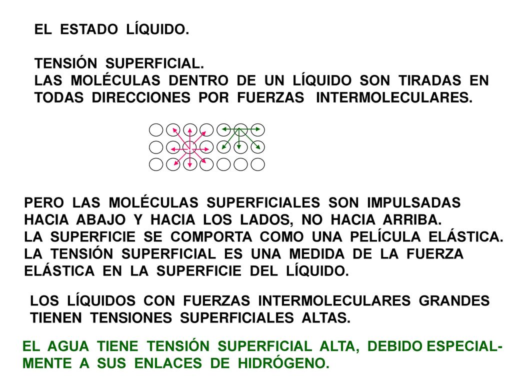 EL ESTADO LÍQUIDO. TENSIÓN SUPERFICIAL. LAS MOLÉCULAS DENTRO DE UN LÍQUIDO SON TIRADAS EN.