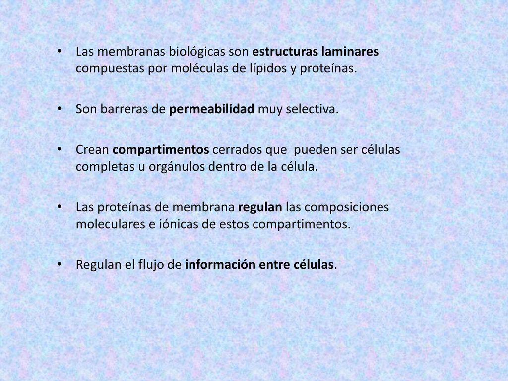 Las membranas biológicas son estructuras laminares compuestas por moléculas de lípidos y proteínas.