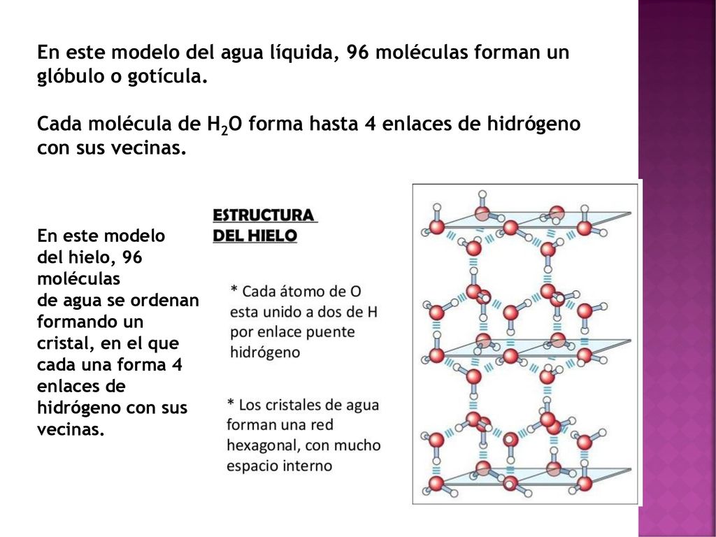 En este modelo del agua líquida, 96 moléculas forman un glóbulo o gotícula.