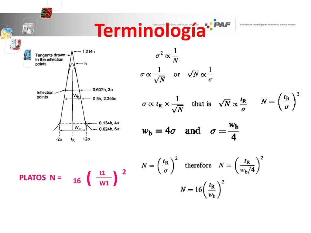 Terminología PLATOS N = 16 ( t1 W1 ) 2