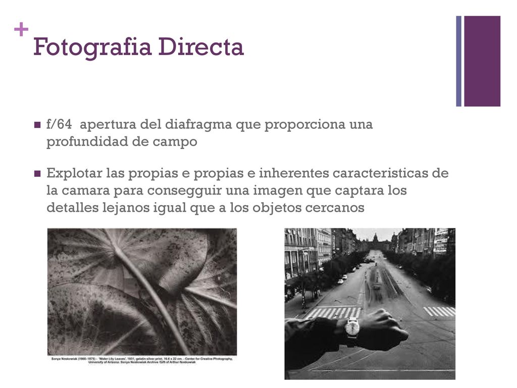 Fotografia Directa f/64 apertura del diafragma que proporciona una profundidad de campo.