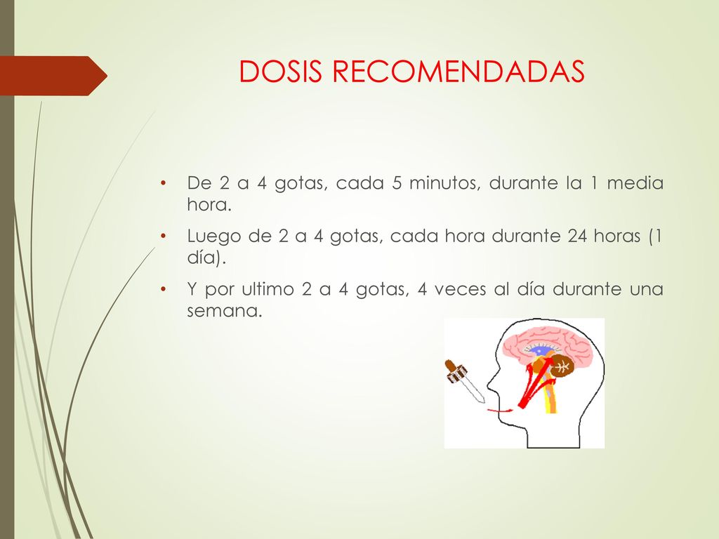 DOSIS RECOMENDADAS De 2 a 4 gotas, cada 5 minutos, durante la 1 media hora. Luego de 2 a 4 gotas, cada hora durante 24 horas (1 día).