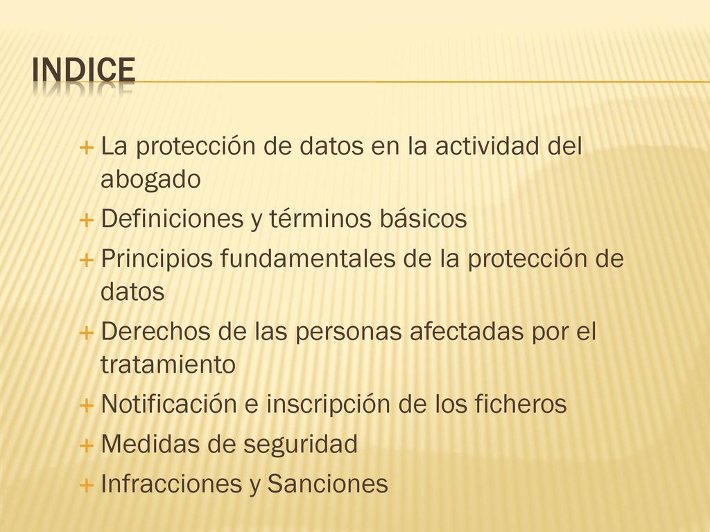 INDICE La protección de datos en la actividad del abogado