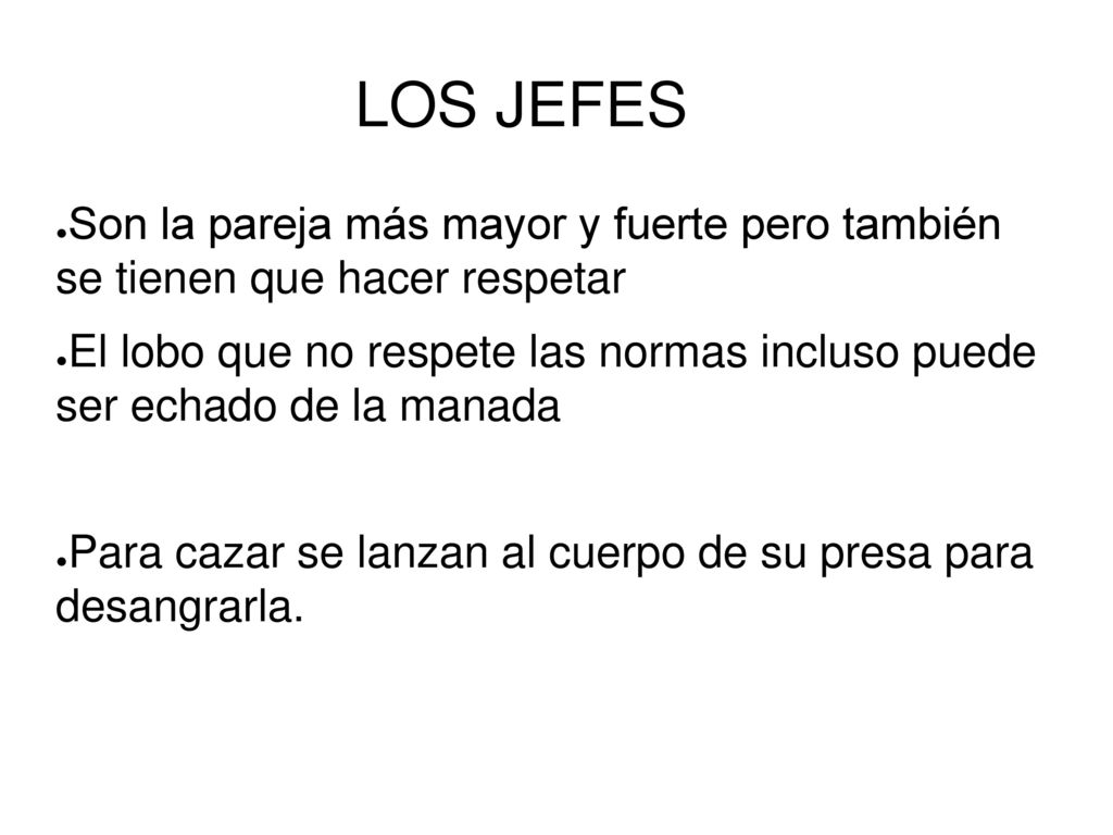 LOS JEFES Son la pareja más mayor y fuerte pero también se tienen que hacer respetar.