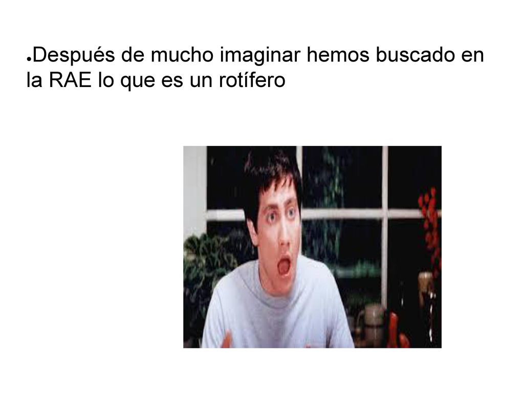 Después de mucho imaginar hemos buscado en la RAE lo que es un rotífero