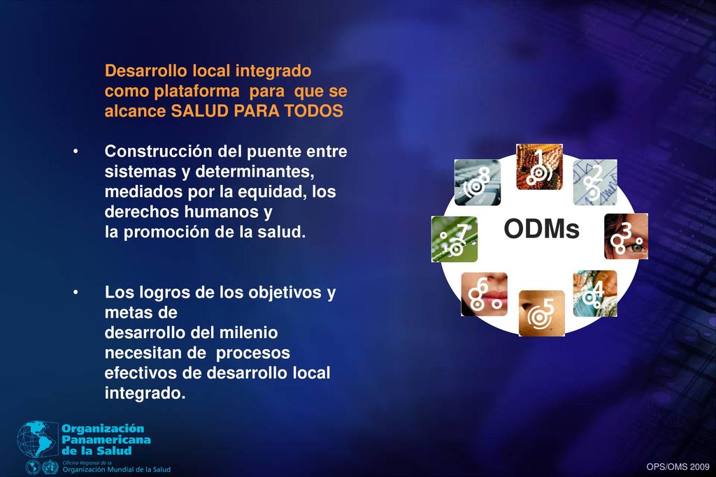 ODMs Desarrollo local integrado como plataforma para que se