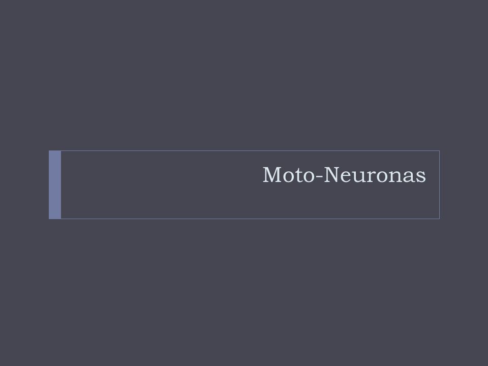 Moto-Neuronas