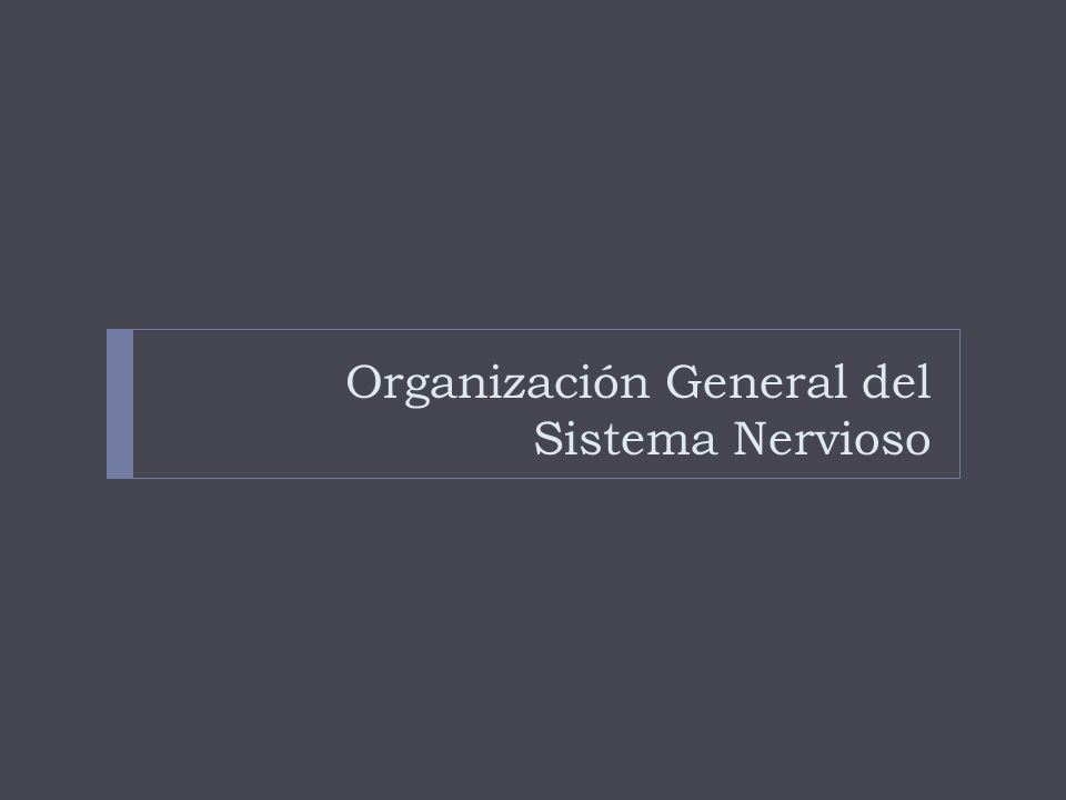Organización General del Sistema Nervioso