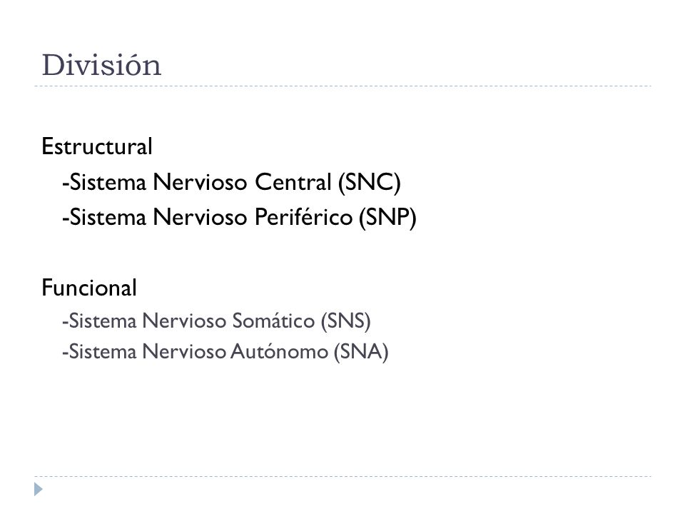 División Estructural -Sistema Nervioso Central (SNC)