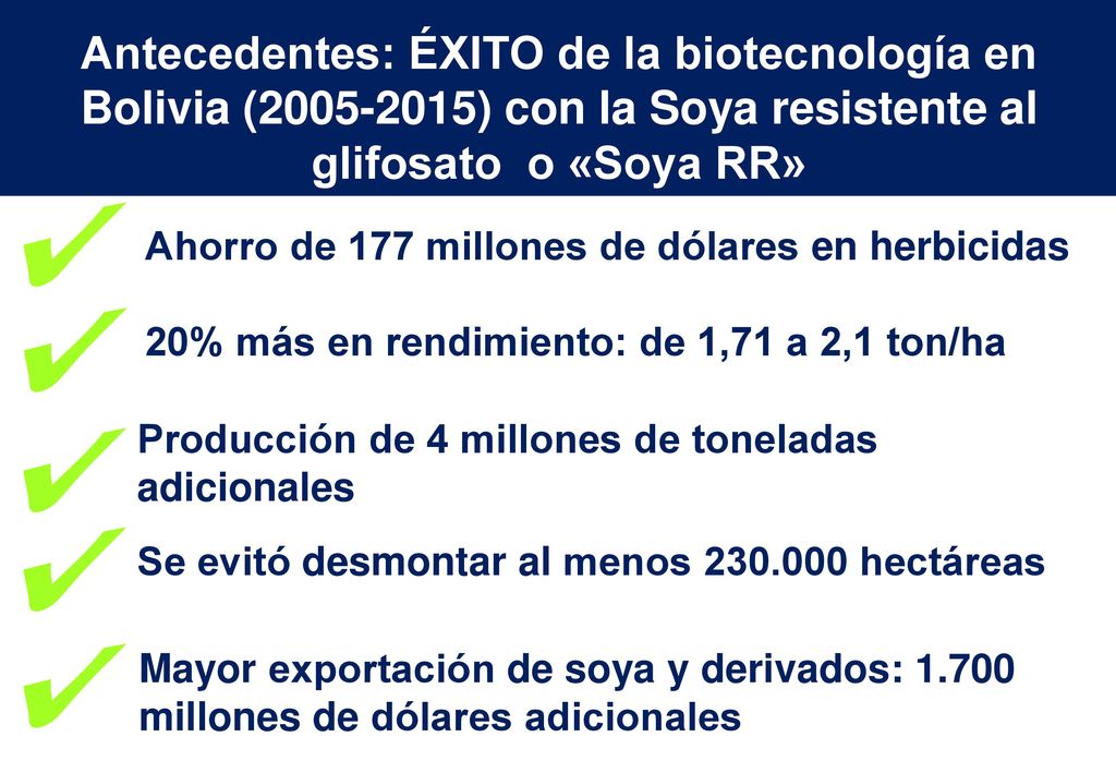 Antecedentes: ÉXITO de la biotecnología en Bolivia ( ) con la Soya resistente al glifosato o «Soya RR»