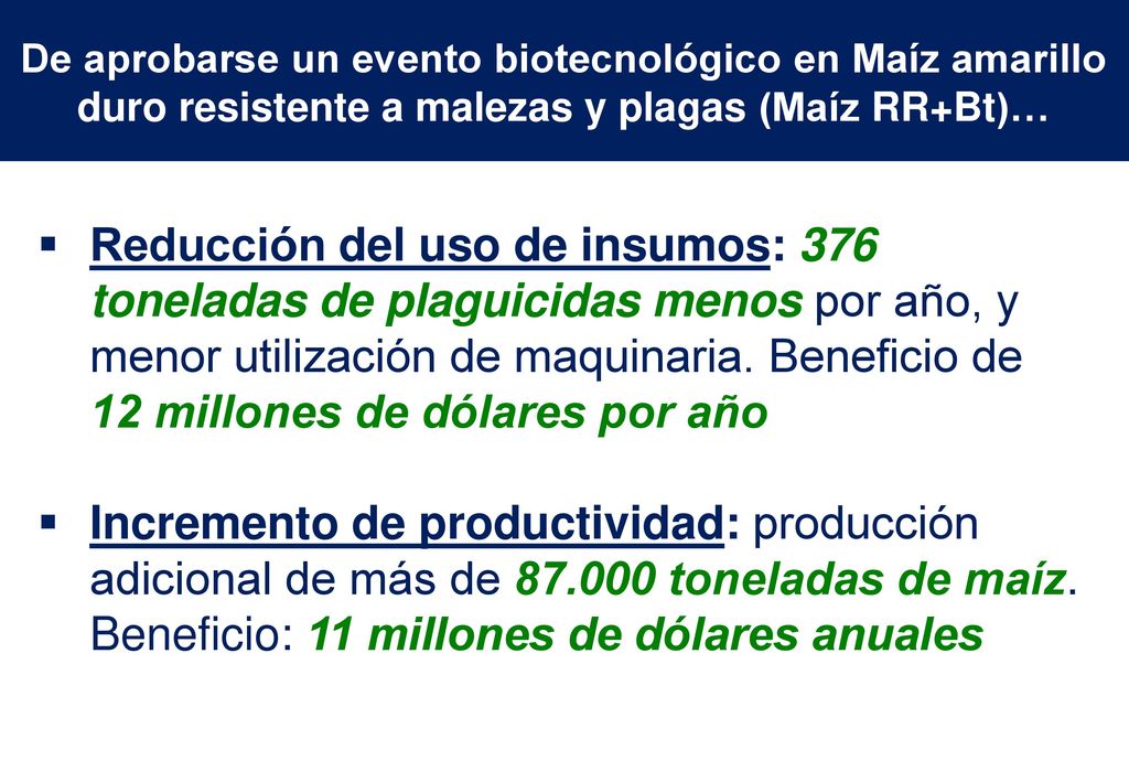 De aprobarse un evento biotecnológico en Maíz amarillo duro resistente a malezas y plagas (Maíz RR+Bt)…