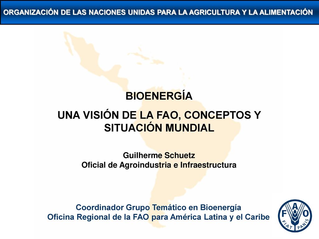BIOENERGÍA UNA VISIÓN DE LA FAO, CONCEPTOS Y SITUACIÓN MUNDIAL