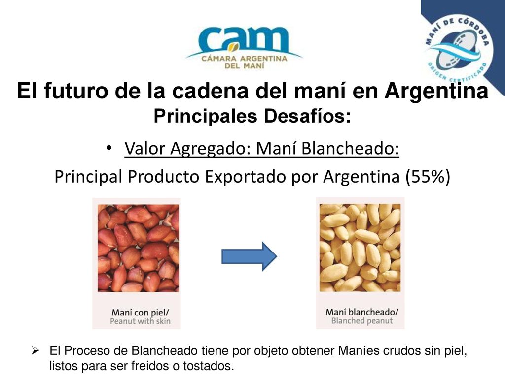 El futuro de la cadena del maní en Argentina Principales Desafíos: