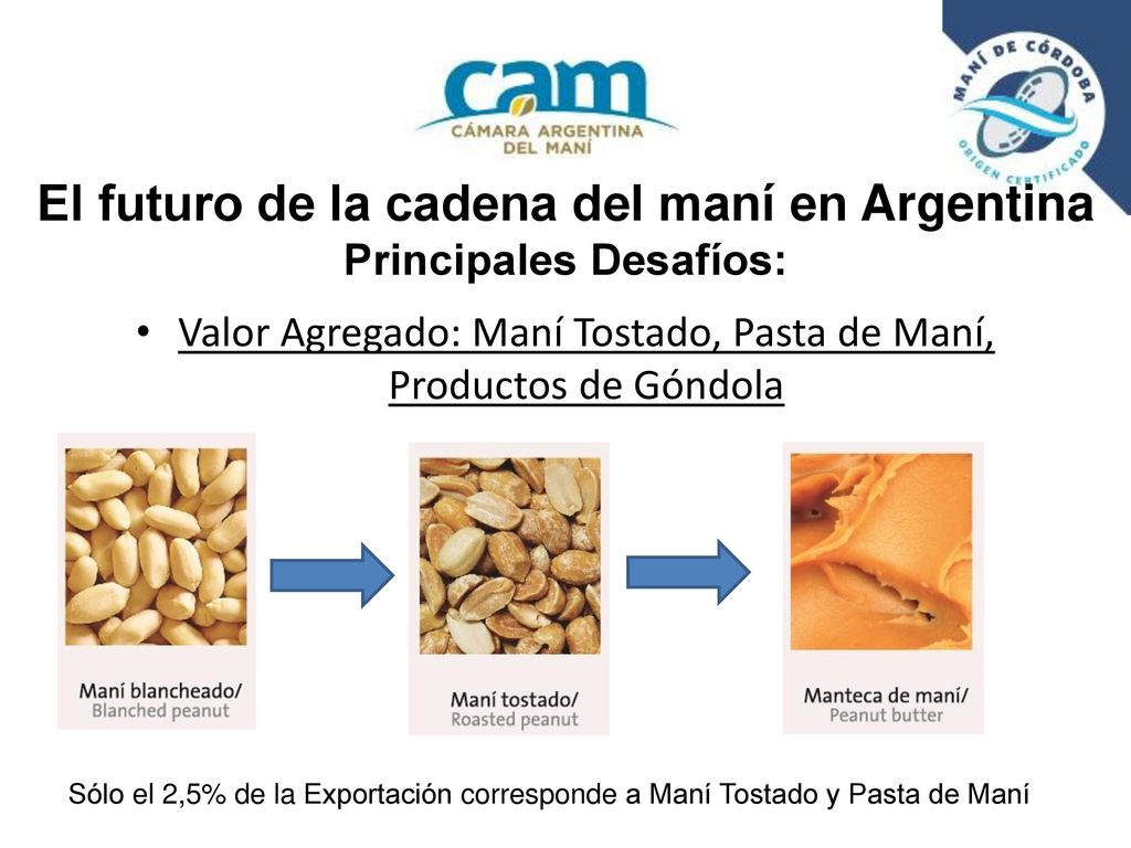 El futuro de la cadena del maní en Argentina Principales Desafíos: