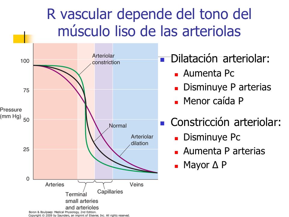 R vascular depende del tono del músculo liso de las arteriolas