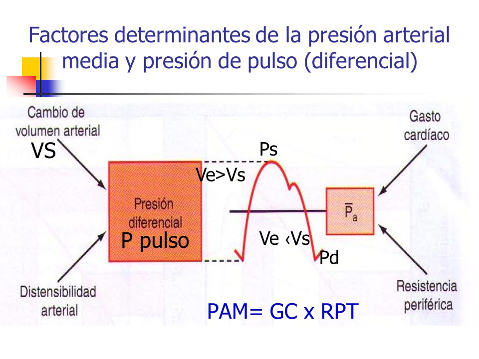 Factores determinantes de la presión arterial media y presión de pulso (diferencial)