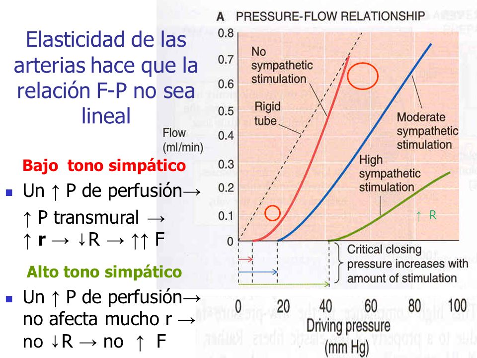 Elasticidad de las arterias hace que la relación F-P no sea lineal