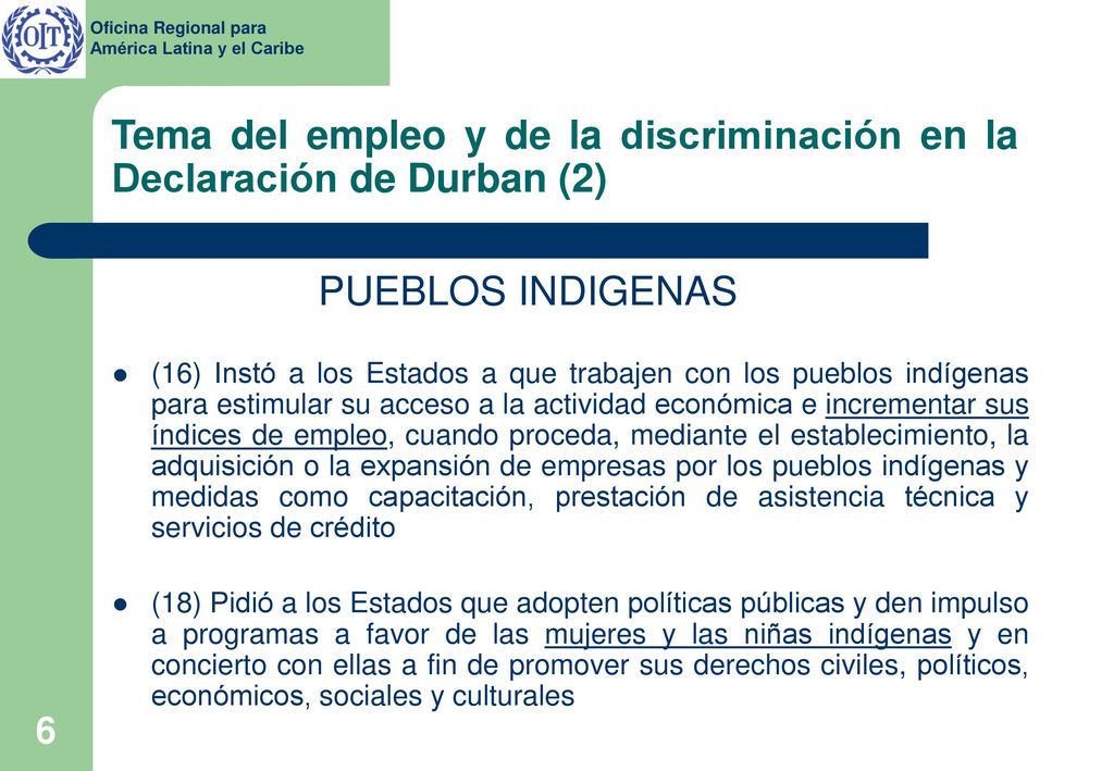 Tema del empleo y de la discriminación en la Declaración de Durban (2)