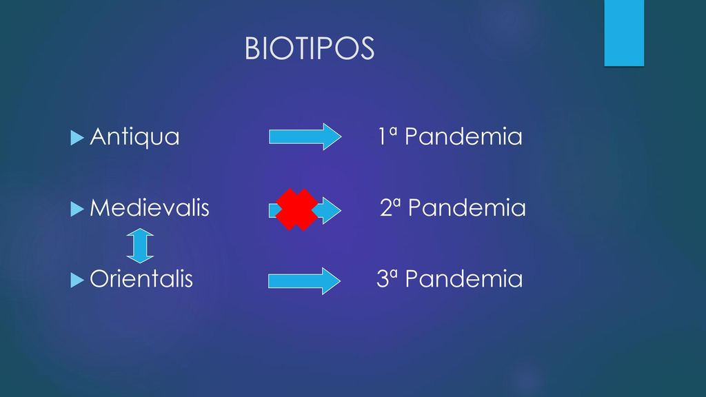 BIOTIPOS Antiqua 1ª Pandemia Medievalis 2ª Pandemia