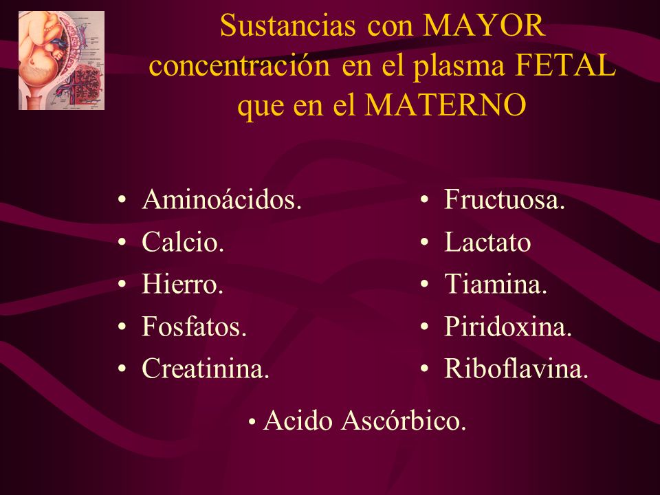 Sustancias con MAYOR concentración en el plasma FETAL que en el MATERNO