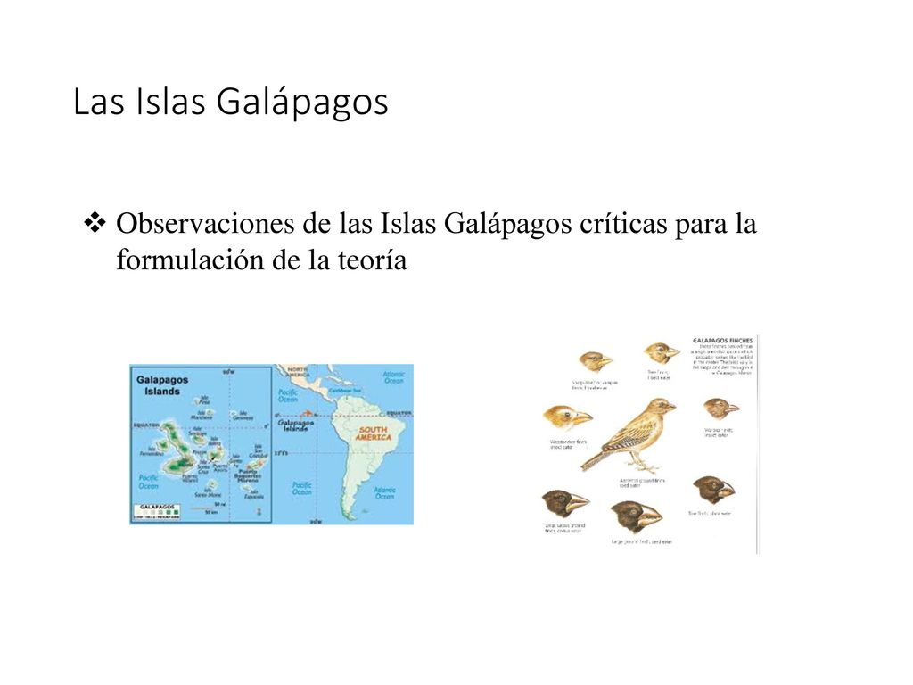 Las Islas Galápagos Observaciones de las Islas Galápagos críticas para la formulación de la teoría