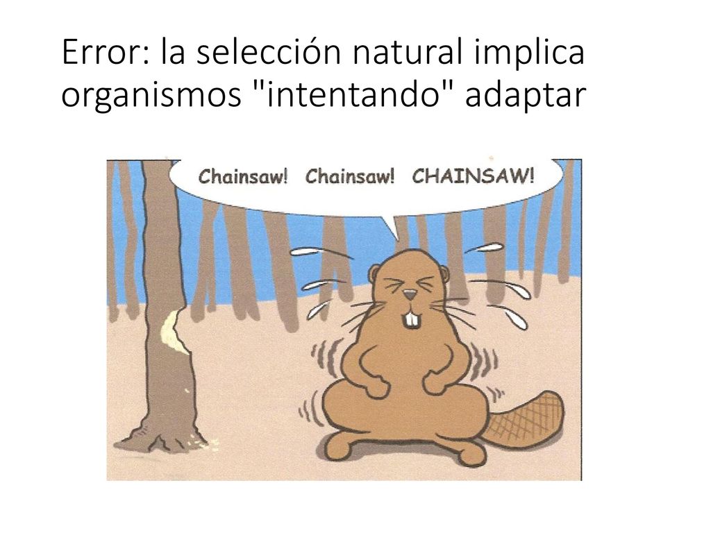 Error: la selección natural implica organismos intentando adaptar