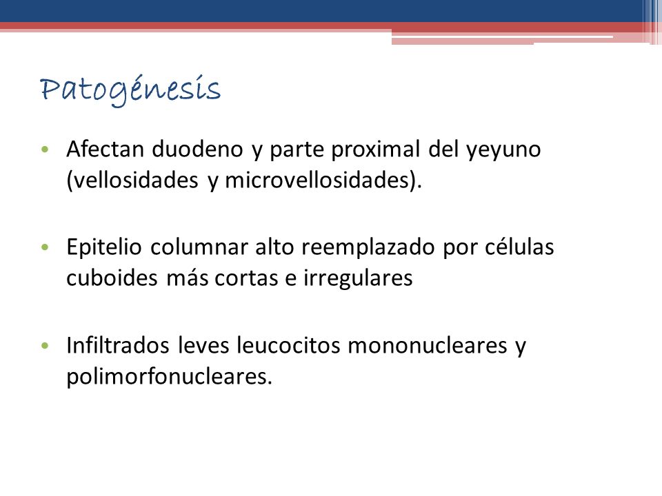 Patogénesis Afectan duodeno y parte proximal del yeyuno (vellosidades y microvellosidades).