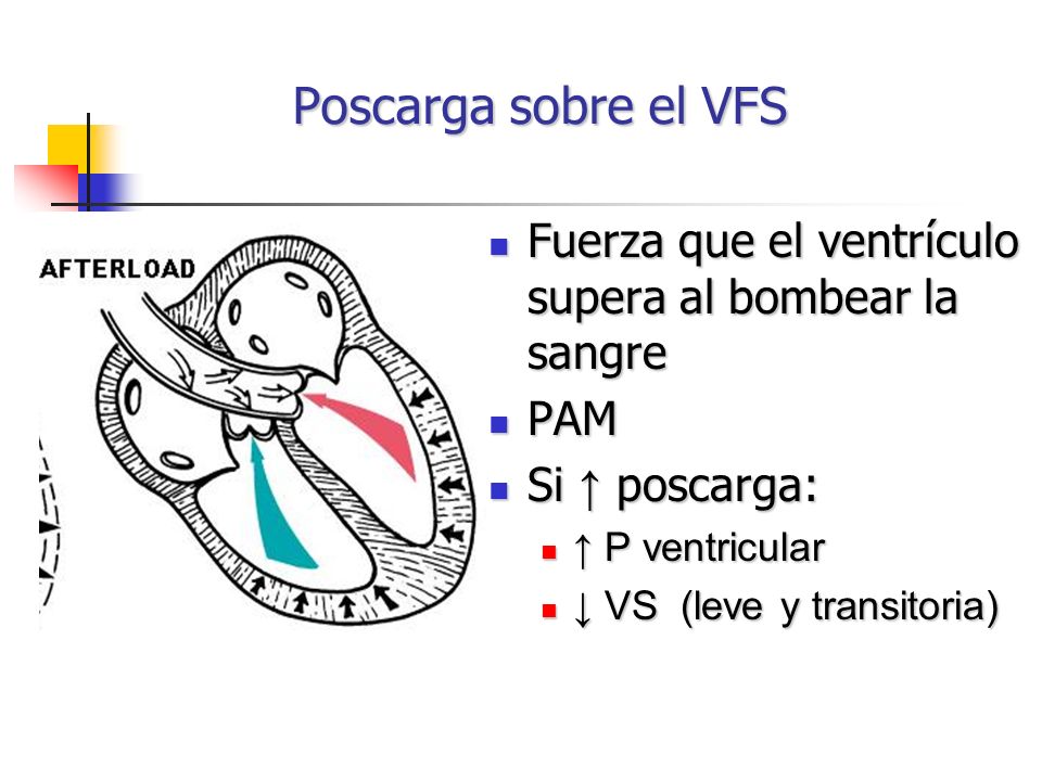Poscarga sobre el VFS Fuerza que el ventrículo supera al bombear la sangre. PAM. Si ↑ poscarga: ↑ P ventricular.