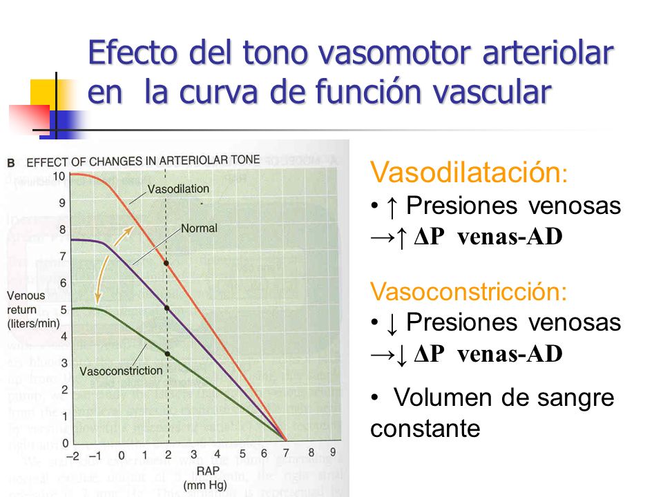 Efecto del tono vasomotor arteriolar en la curva de función vascular