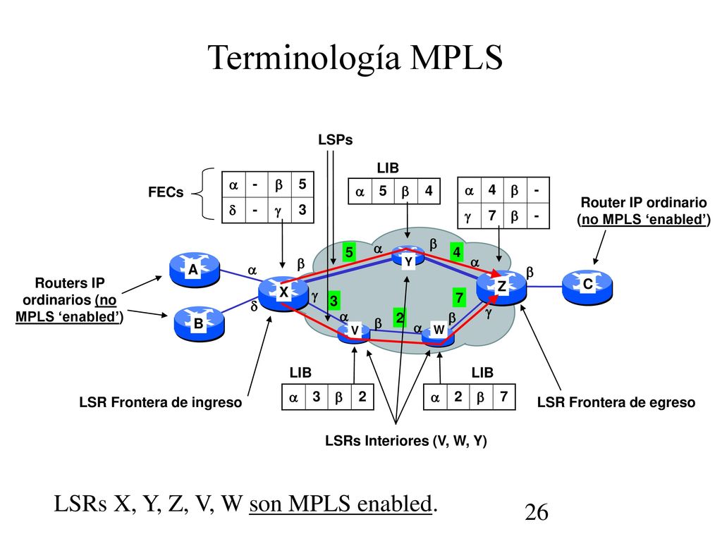 Terminología MPLS LSRs X, Y, Z, V, W son MPLS enabled. LSPs LIB  - 