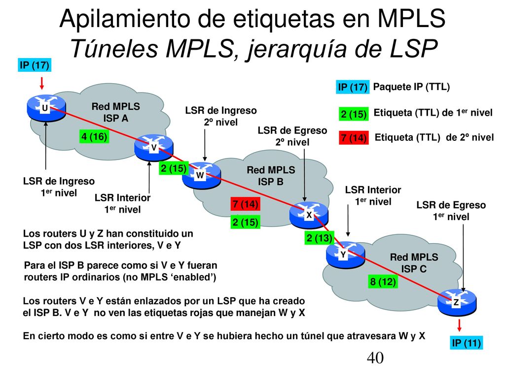 Etiqueta (TTL) de 1er nivel Etiqueta (TTL) de 2º nivel