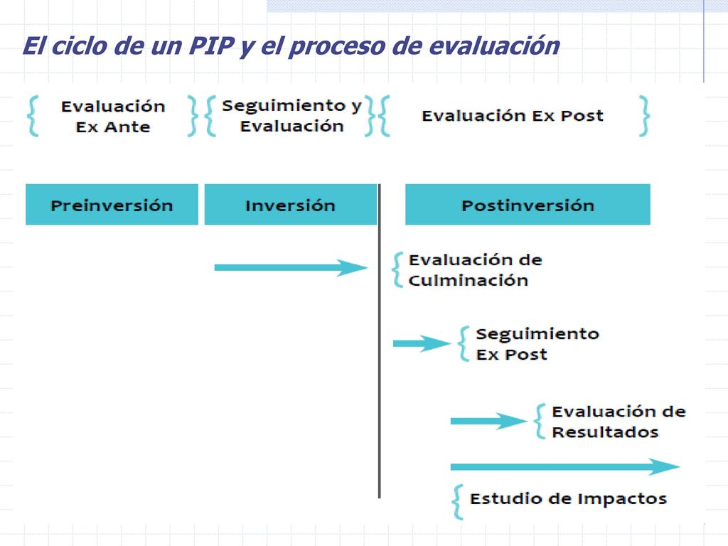 El ciclo de un PIP y el proceso de evaluación