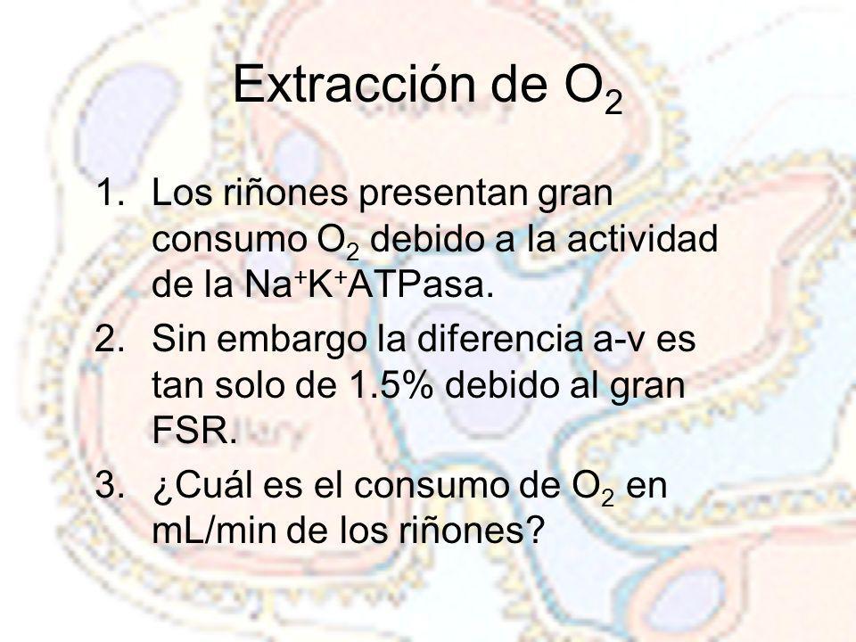 Extracción de O2 Los riñones presentan gran consumo O2 debido a la actividad de la Na+K+ATPasa.