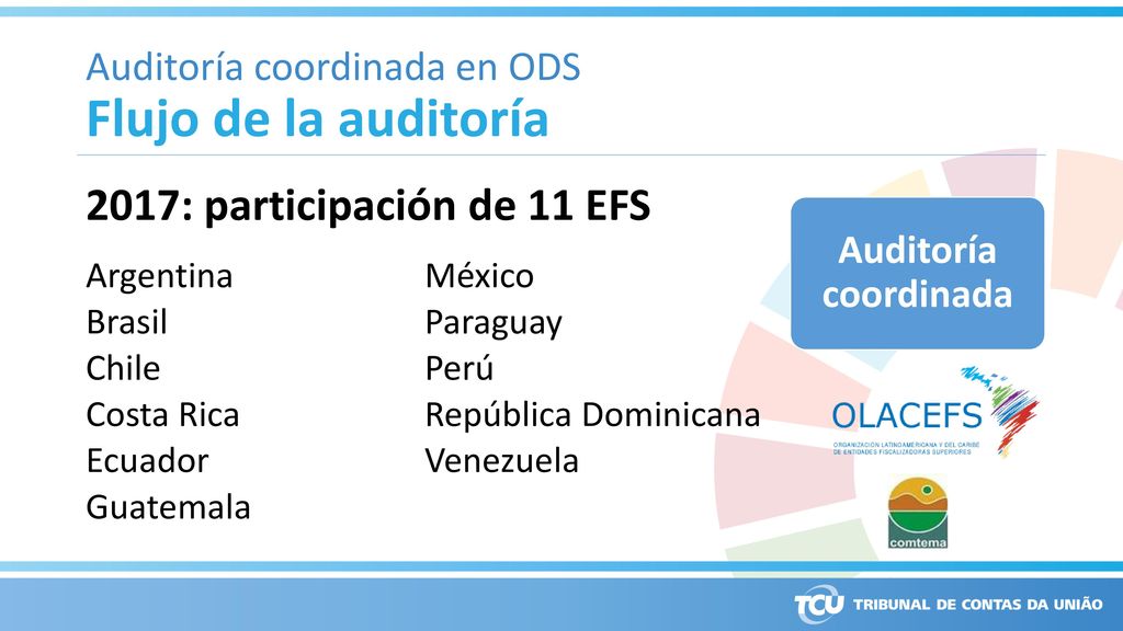 Flujo de la auditoría 2017: participación de 11 EFS