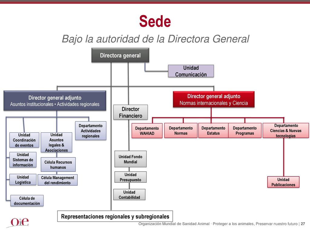 Sede Bajo la autoridad de la Directora General Directora general