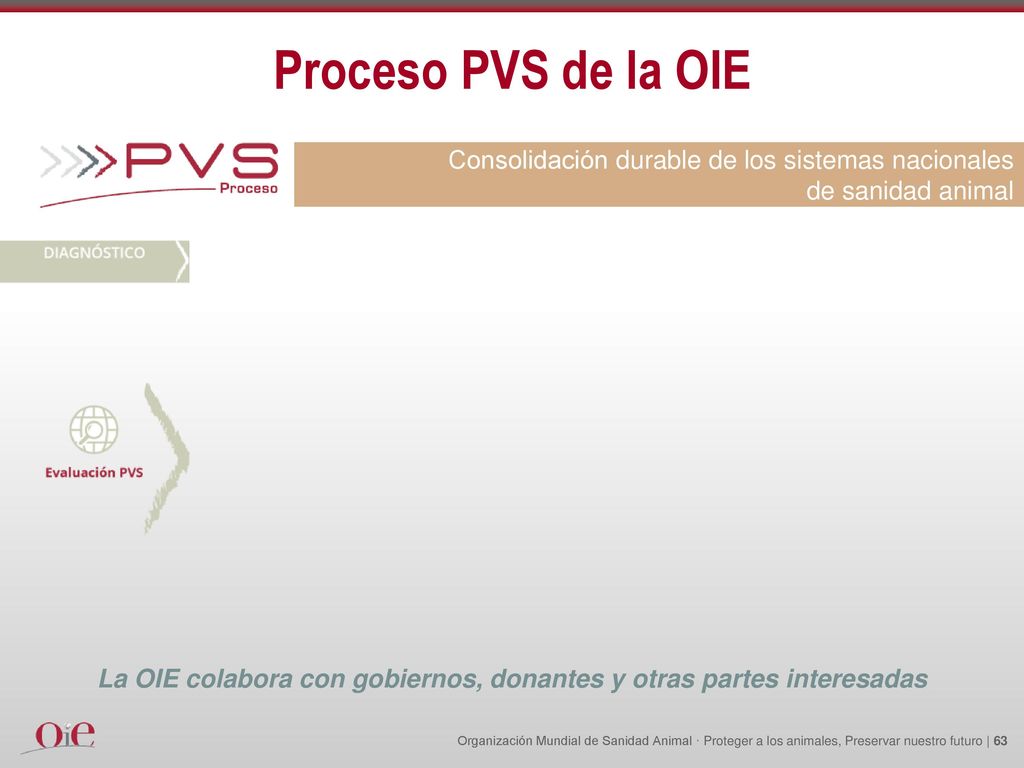 La OIE colabora con gobiernos, donantes y otras partes interesadas