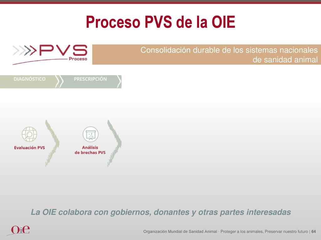 La OIE colabora con gobiernos, donantes y otras partes interesadas