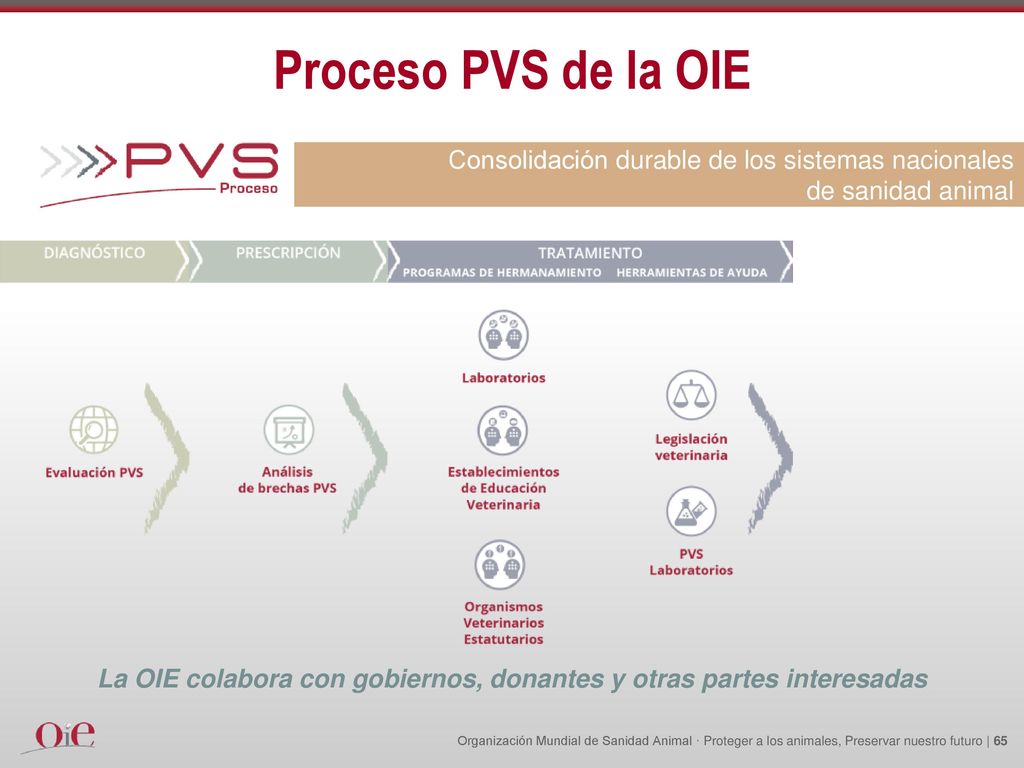 La OIE colabora con gobiernos, donantes y otras partes interesadas