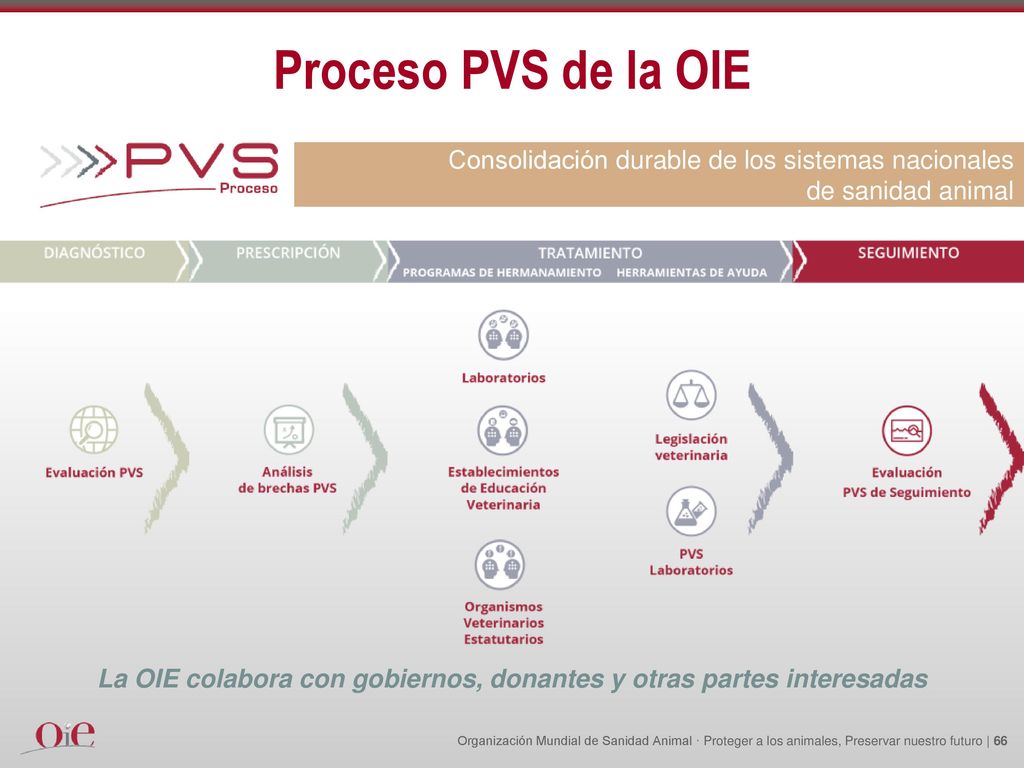 La OIE colabora con gobiernos, donantes y otras partes interesadas
