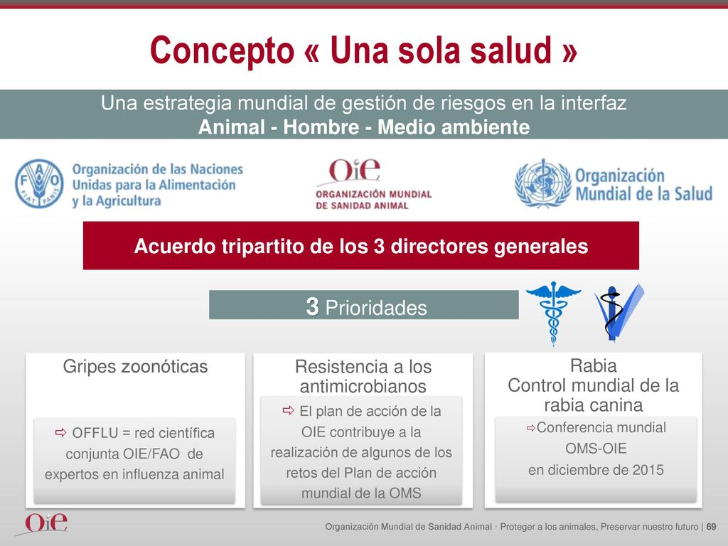 Concepto « Una sola salud »