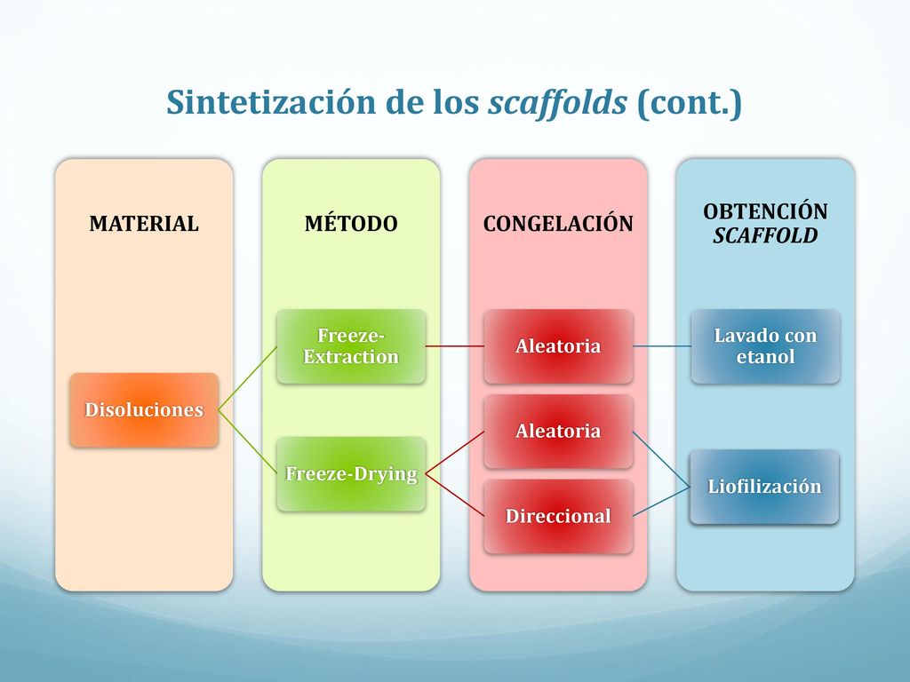 Sintetización de los scaffolds (cont.)