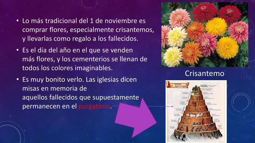 Lo más tradicional del 1 de noviembre es comprar flores, especialmente crisantemos, y llevarlas como regalo a los fallecidos.