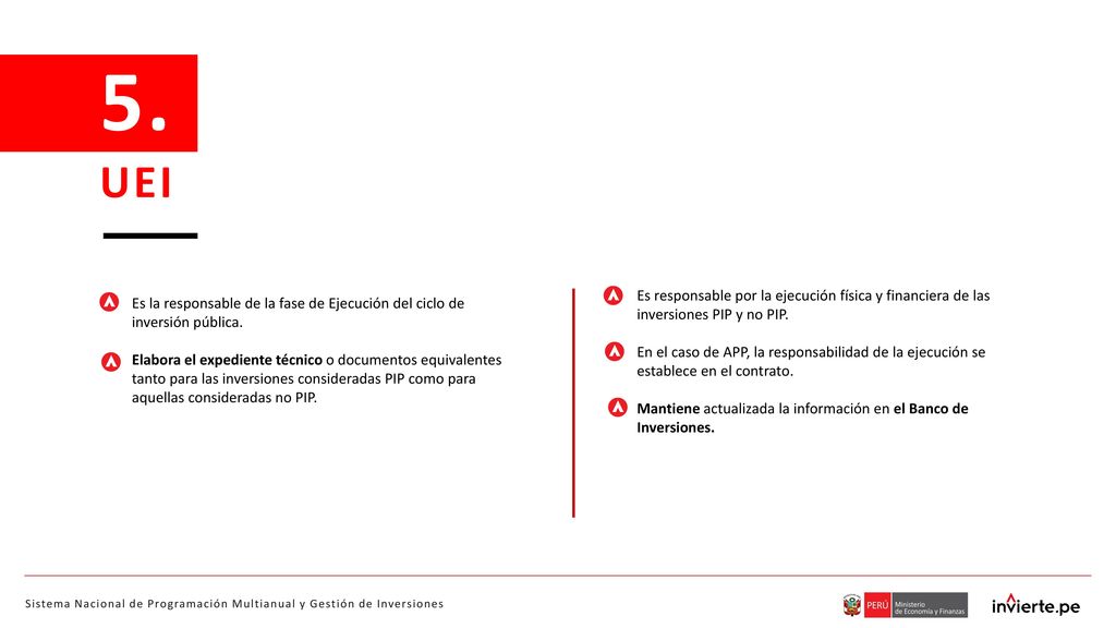 5. UEI Es responsable por la ejecución física y financiera de las inversiones PIP y no PIP.
