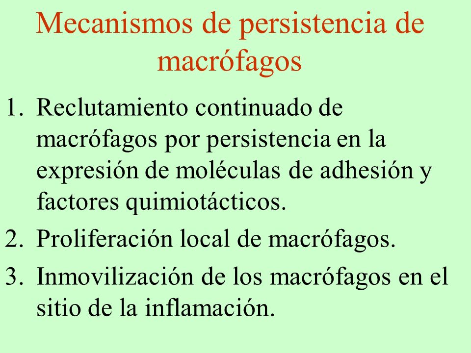 Mecanismos de persistencia de macrófagos