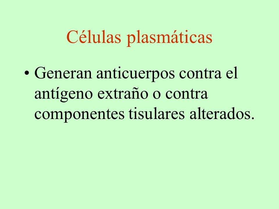 Células plasmáticas Generan anticuerpos contra el antígeno extraño o contra componentes tisulares alterados.
