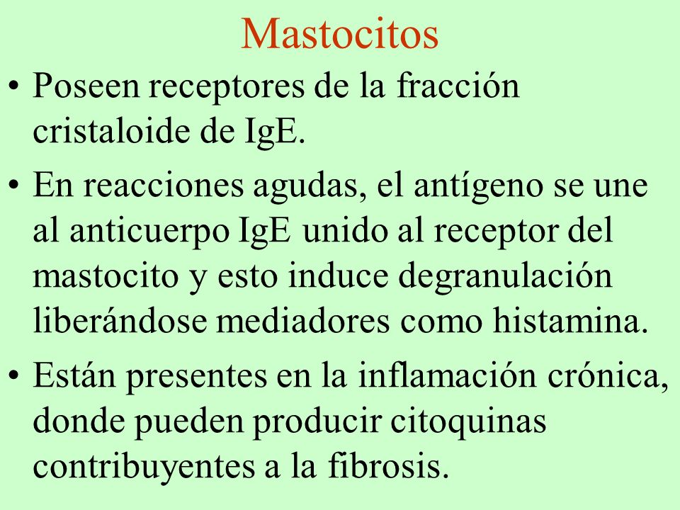 Mastocitos Poseen receptores de la fracción cristaloide de IgE.