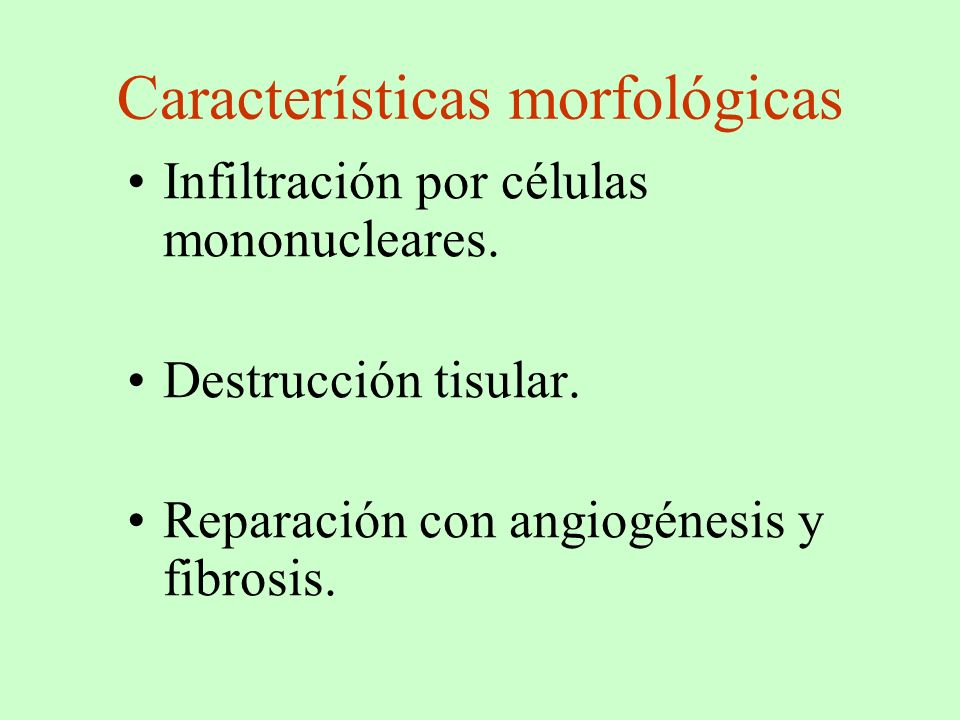 Características morfológicas
