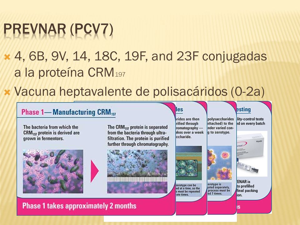 Prevnar (PCV7) 4, 6B, 9V, 14, 18C, 19F, and 23F conjugadas a la proteína CRM197. Vacuna heptavalente de polisacáridos (0-2a)